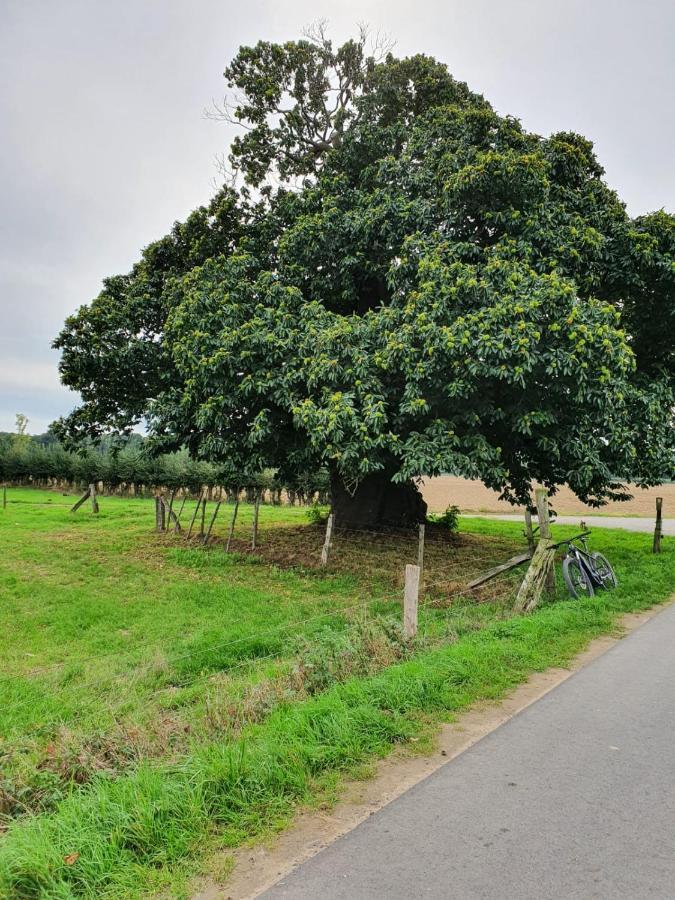 Ferienwohnung Niederrhein Wesel  Luaran gambar